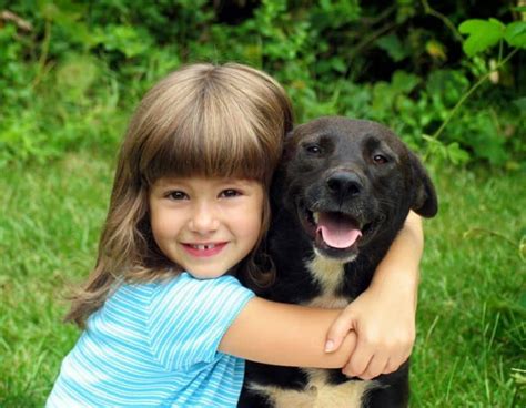 Best Dogs for Kids with Allergies: Which Breed to Choose?