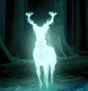 From harry's stag to hermione's otter, here are some of the. Patronus - Harry Potter Wiki