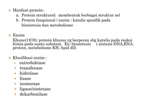 Apa Itu Protein Fungsional Sintesis Protein Apa Dan Bagaimana Ini Hot Sex Picture