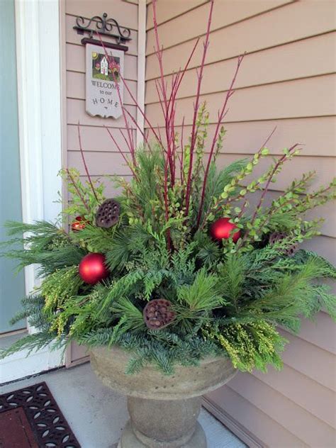 Ten Steps To Great Winter Containers The Hortiholic Christmas