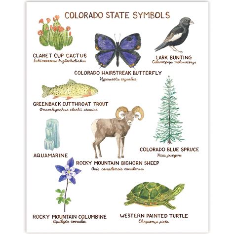 Colorado State Symbols Art Print In 2021 Colorado Art Prints State