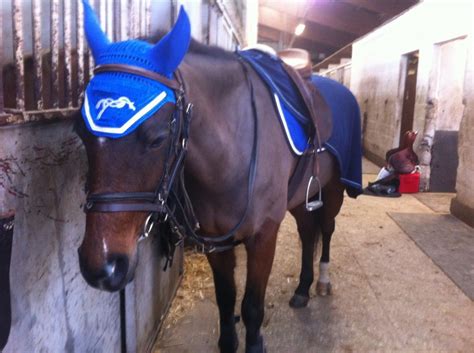 Site officiel de penelope leprevost, cavalière de l'équipe de france de cso. Équipement penelope leprevost!