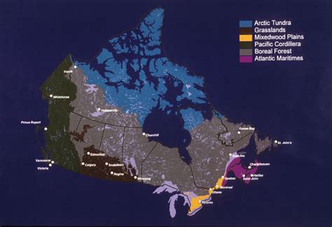 Biomas De Canada