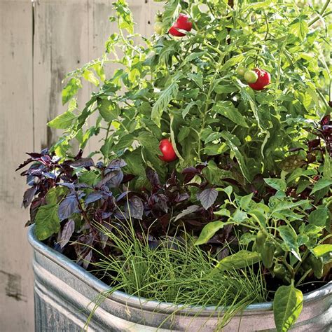 15 Stunning Container Vegetable Garden Design Ideas And Tips Gardening