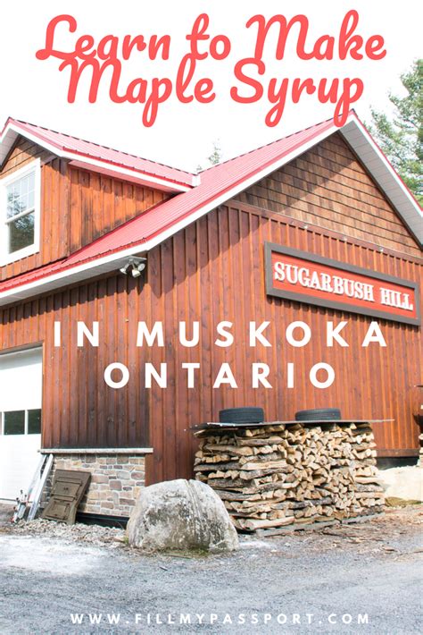 This Is Why Sugarbush Hill Is The Best Maple Syrup Farm In Ontario