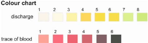 A Guide To Vaginal Discharge Colors What Do They Mean 45 Off