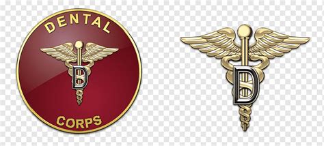 United States Army Nurse Corps Logo