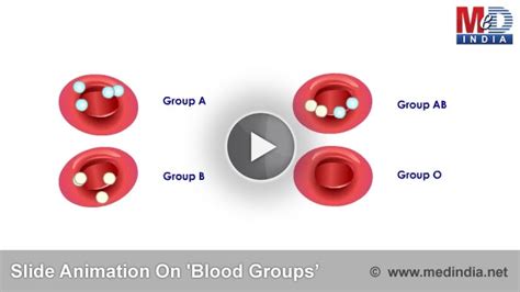 With a clear message, simple illustrations, and only one day to produce Slide Animation on 'Blood Groups, Blood Typing and Blood donation' | Medindia