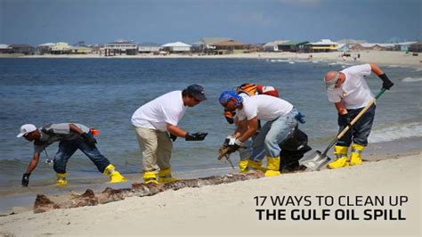 17 Ways To Clean Up The Gulf Oil Spill