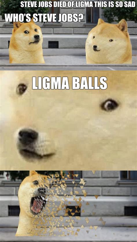 Doge Gets Owned Ironic Doge Memes Know Your Meme