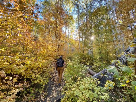 20 stunning fall foliage hiking photos to brighten up your day ali badkoobehi