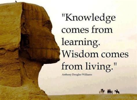 Knowledge Is Wisdom