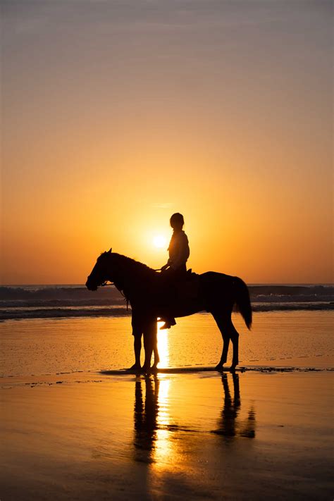 Op Een Paard De Zonsondergang Tegemoet Rijden Op Het Strand Travelmonster