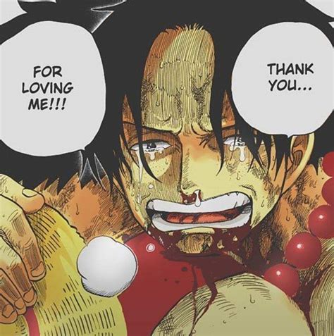 Top 5 Saddest One Piece Moments One Piece Amino