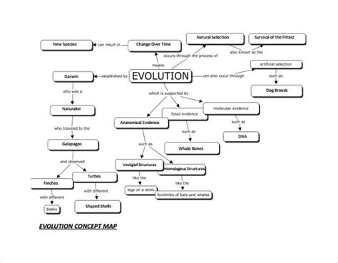 Evolution Concept Map Worksheet
