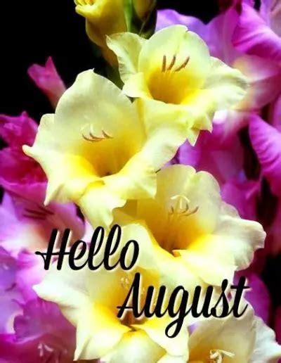 Hello August Images Pictures Quotes And Pics 2022