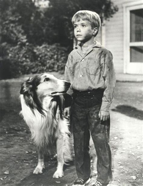 Lassie And Timmy Martin Tv Shows Jon Provost Tv Characters