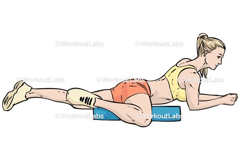 Foam Roller Inner Thigh Adductor Adduction Stretch Workoutlabs Exercise Guide
