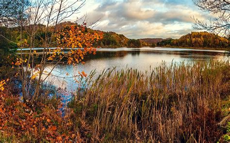 Enjoy and share your favorite beautiful hd wallpapers and background images. Nature Photos HD: Latest Natural Wallpapers in HD