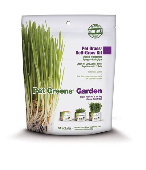 Safe Grass Seed For Dogs Uribe Vold