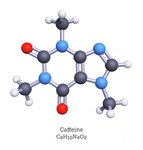 Caffeine Molecule Photograph By Greg Williamsscience Photo Library