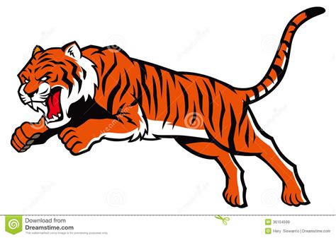 Jumping Tiger Stock Vector Illustration Of Aggressive