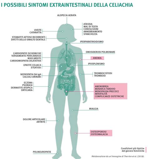 Celiachia 10 Sintomi Per Riconoscerla E Come Diagnosticarla Greenme
