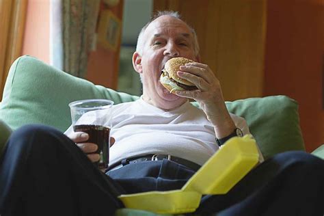 Obese Grandfathers Pass On Their Susceptibility To Junk Food New