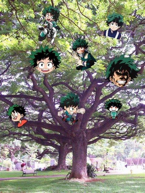 My Favorite Picture Of The Great Deku Tree Rzeldamemes