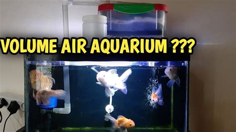 Cara Menghitung Volume Air Aquarium YouTube