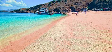 Vue Sur La Plage Rose De Lîle De Komodo Ouest De Nusa Tenggara