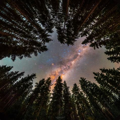 Apod 2021 July 19 Framed By Trees A Window To The Galaxy