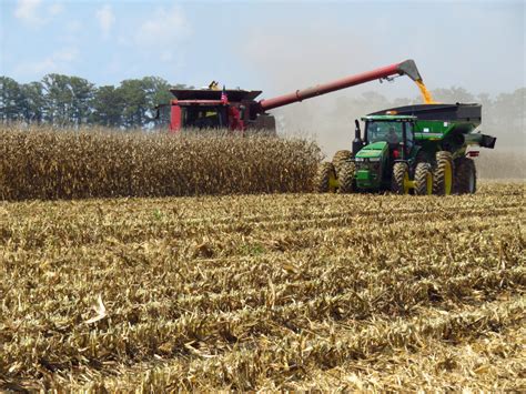 Oklahoma Farm Report Most Crops Mature As Farmers Shift Into Harvest