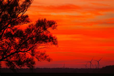 Free Images Landscape Tree Nature Horizon Silhouette Cloud