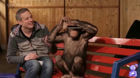 Monkeys Reacting To Magic Tricks Youtube