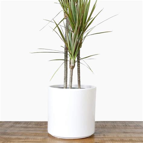 2pc ceramic hanging planter flower pots for home indoor decor. Large White Plant Pot Modern Planter Ceramic Indoor ...