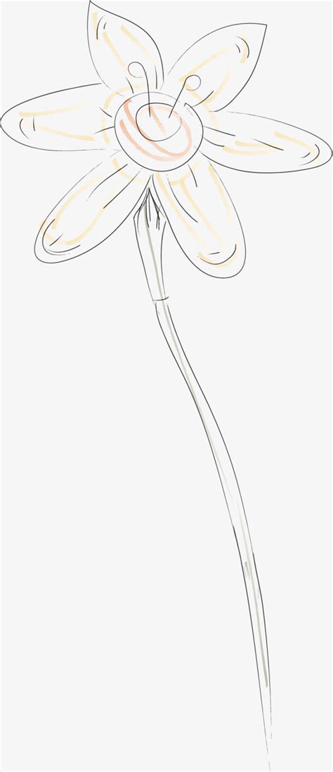 The actual flower comes in many different colors and even in a mixed combination. Morning Glory Drawing at GetDrawings | Free download