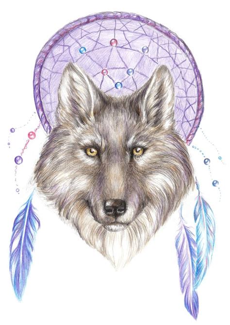 Drawing Wolf On The Background Dreamcatcher Stock