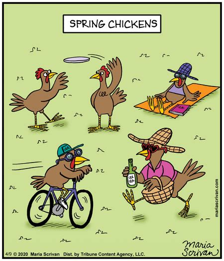 Half Full By Maria Scrivan For April 09 2020 Gocomics Chicken Jokes Spring Chicken