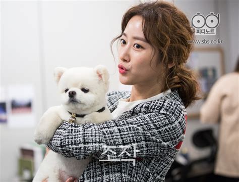 Shutterstock 컬렉션에서 hd 화질의 강아지 스톡 이미지와 수백만 개의 사용료 없는 다른 스톡 사진, 일러스트, 벡터를 찾아보세요. 조작: SBS