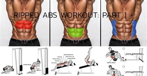Here We Bring To You Part 1 Of How To Get Your Abs Ripped Its As Easy