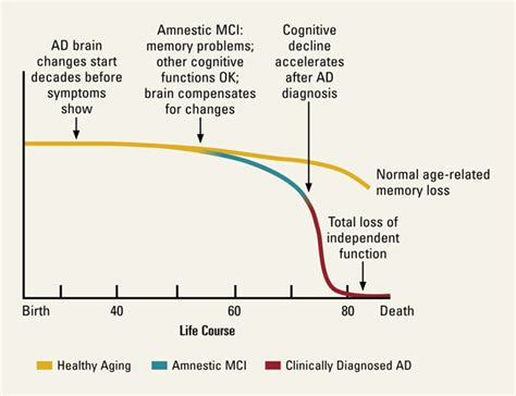 Blog Cognitive Decline Evolving Past Alzheimer S