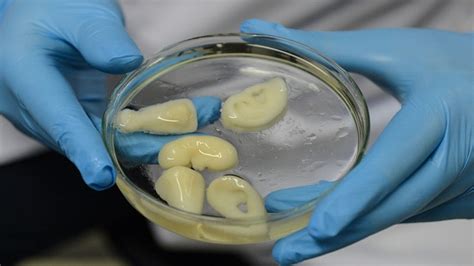 China Crea Bio Impresora 3d Para Crear órganos Humanos