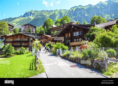 Picturesque Alpine Village Wengen In Switzerland In Summer Season