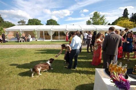 10 fun ideas for an anniversary party. Frame Marquee Hire - Marquee Hire London | Wedding anniversary party, Event company, Anniversary ...