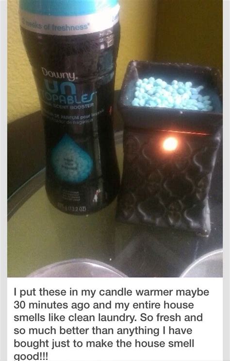 To make your apartment smell better, you need the right arsenal of cleaning agents and scent diffusers. Make Your House Smell Good For Way Cheap! | House smell ...