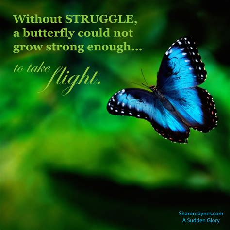 Without Struggle A Butterfly Could Not Grow Strong Enough To Take