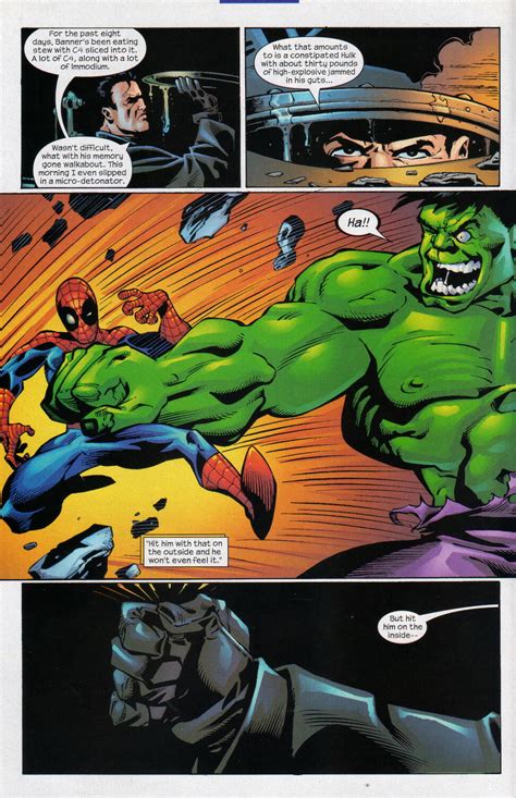 The Punisher Kills The Hulk