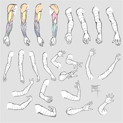 Drew Some Arms And Hands To Learn About The Structure Used Myself As
