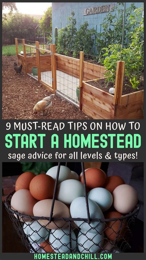 The Idea Of Starting A Homestead Is Exciting But Can Also Feel